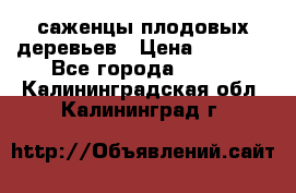 саженцы плодовых деревьев › Цена ­ 6 080 - Все города  »    . Калининградская обл.,Калининград г.